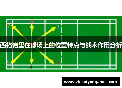 西格诺里在球场上的位置特点与战术作用分析