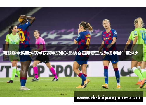 弗赖堡主场草坪质量获德甲职业球员协会高度赞誉成为德甲最佳草坪之一